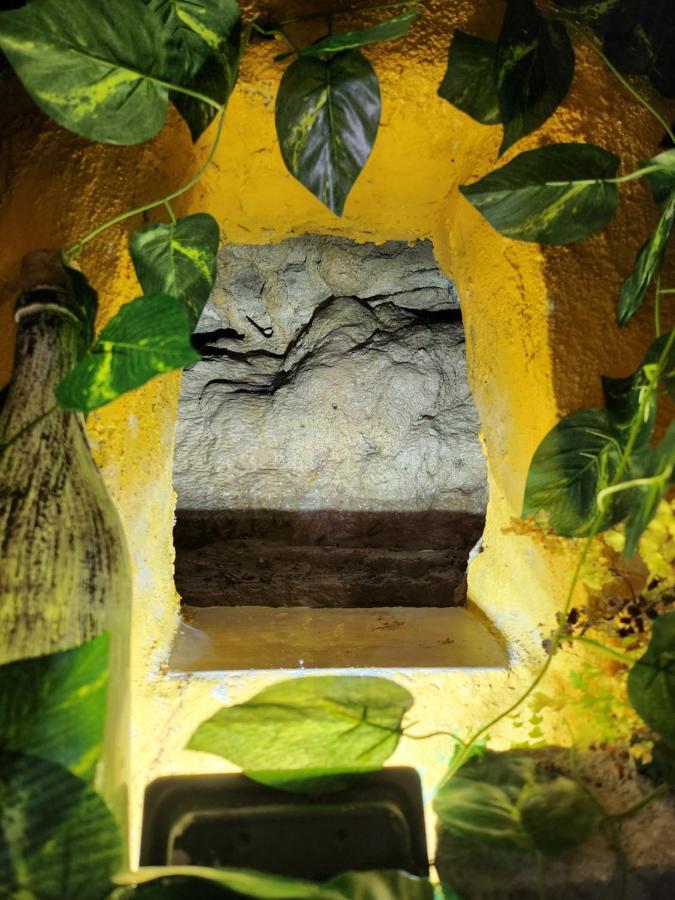 Appartamento Casita Zamudio Setenil De Las Bodegas Esterno foto